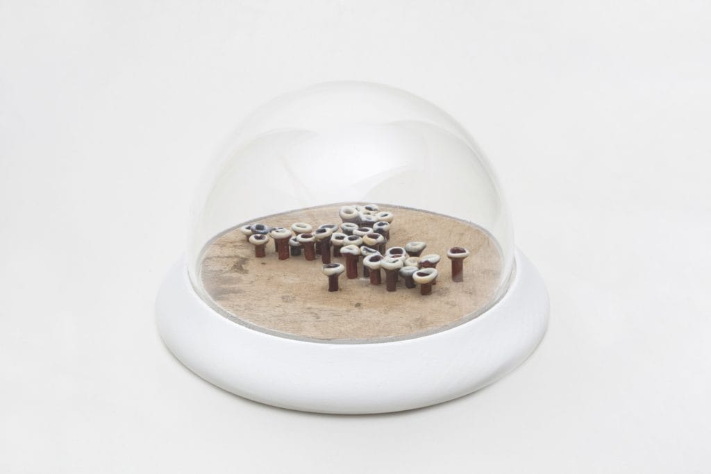 Un/Natural 14 Glass dome with brown glass lichen inside