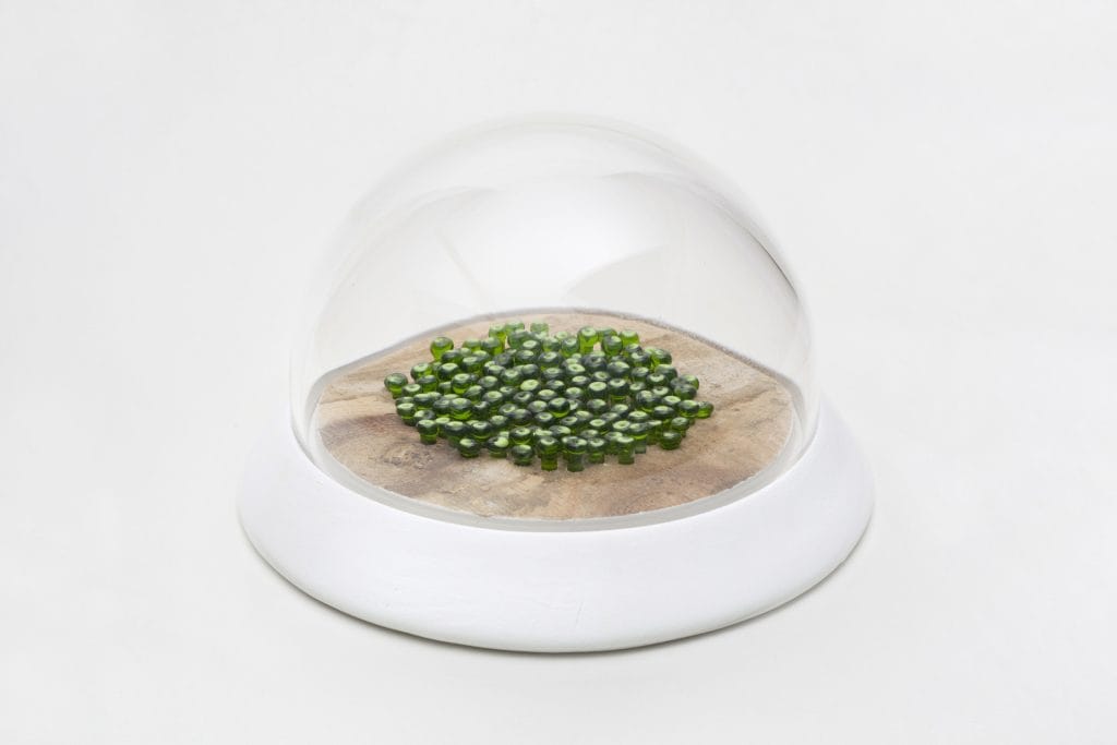 Un/Natural 13 Glass dome with green glass lichen inside