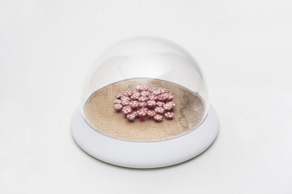 Un/Natural 12 Glass dome with red glass lichen inside