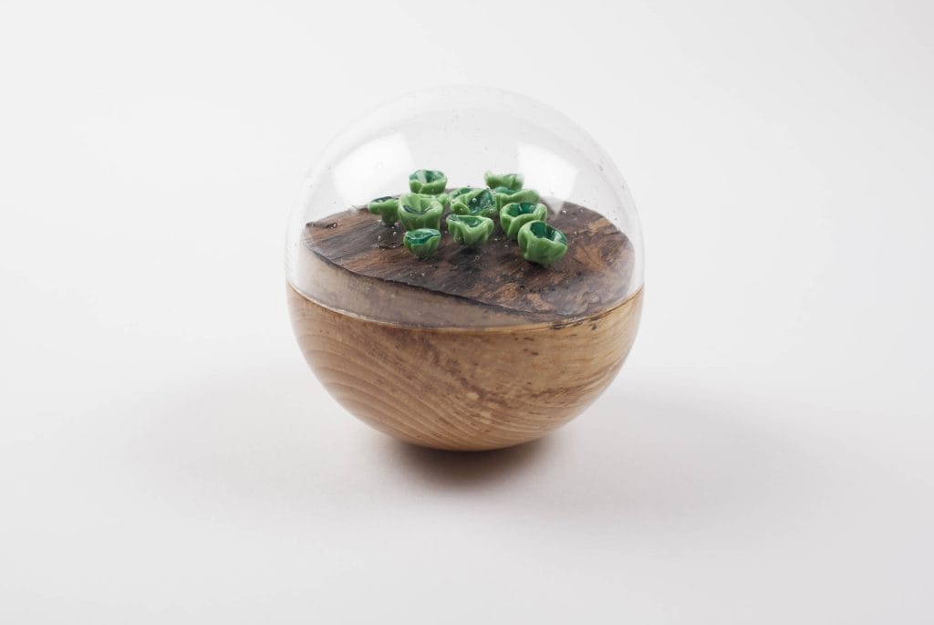 Un/Natural 10 Half wood, half glass orbs with glass lichen inside