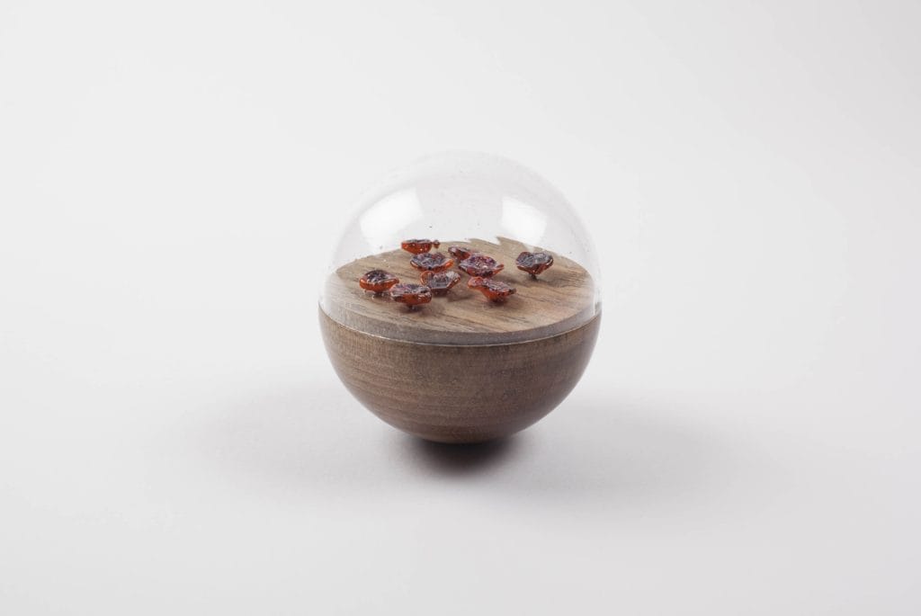 Un/Natural 6 Half wood, half glass orbs with glass lichen inside